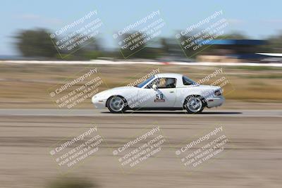 media/Oct-04-2025-OnGrid (Sat) [[44bd565ffa]]/Purple Group/Grapevine/